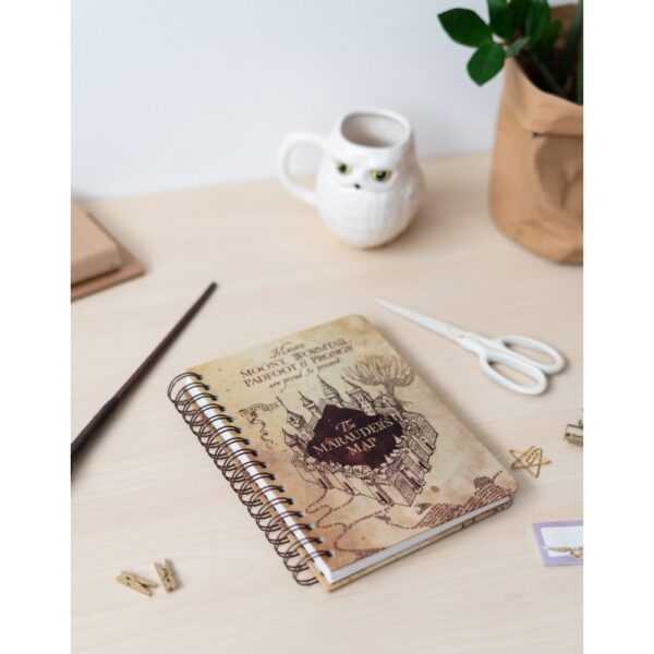 Immagine 104 Notebook Mappa Basic