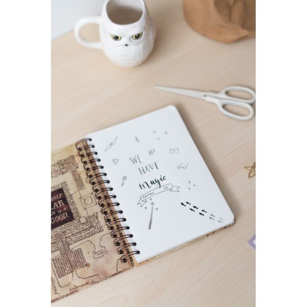 Immagine 105 Notebook Mappa Basic